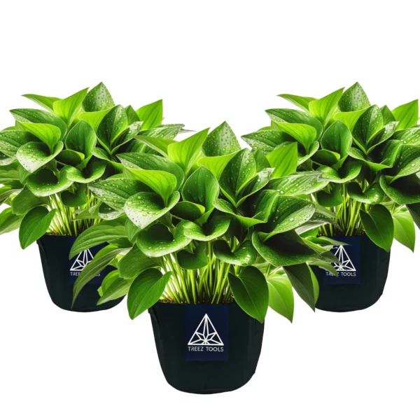 Treez Tools Anzuchttopf 3er-Set – Hochwertige 12 Liter Grow Töpfe für Urban Gardening und nachhaltiges Pflanzenwachstum