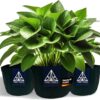 Treez Tools Grow Töpfe 12 Liter 3er-Set