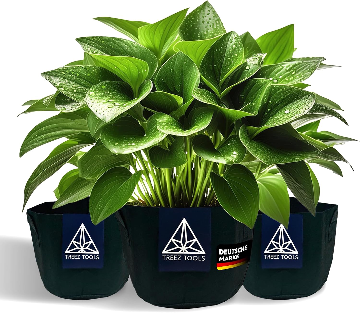 Grow Töpfe