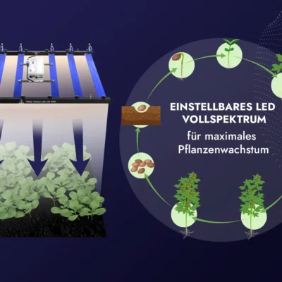 Treez Tools Grow Set S – Kompaktes Indoor-Garten Set mit 320W LED Anbau Lampe, Anbau Zelt, Belüftungssystem, Ventilator, Bewässerungssystem und 3 Töpfen für optimale Pflanzenzucht
