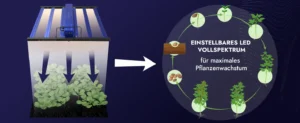 Mutterplanzen Lichtspektrum einstellen