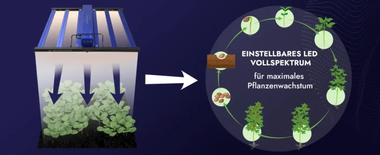 Mutterpflanzen: Warum die Treez Tools Grow Light LED 500 PRO und 700 PRO ideal sind