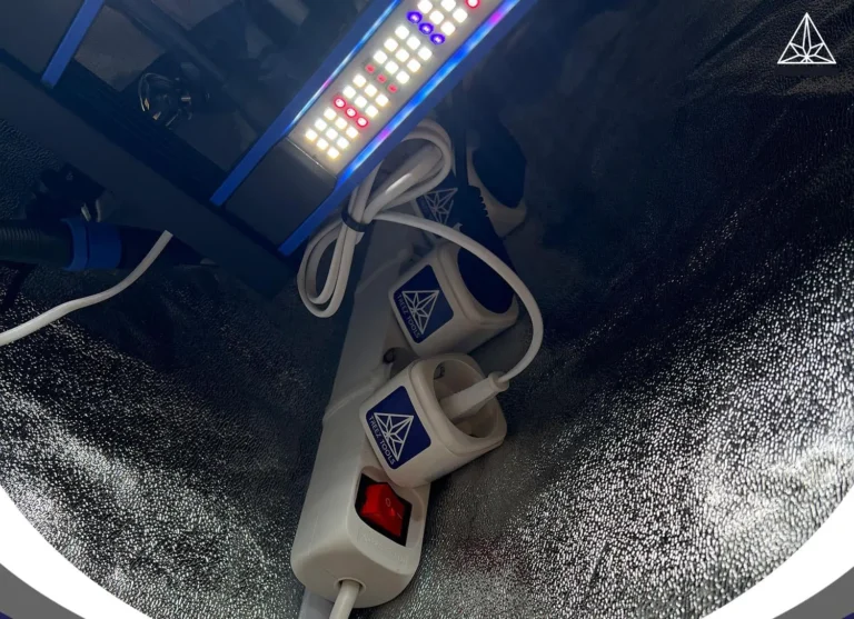 Smart Plug Indoor Grow Cannabis Automatisierung Lichtsteuerung Setup
