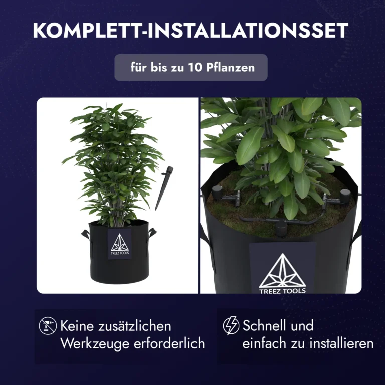 Pflanzen richtig gießen während deines Urlaubs – 7 bewährte Methoden