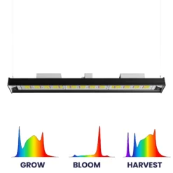 Treez Tools Bilberry 650W Setup