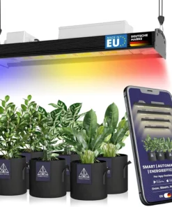 Treez Tools Pflanzen unter Bilberry Smart Grow Light 160W LED mit App-Steuerung und Vollspektrum-Beleuchtung