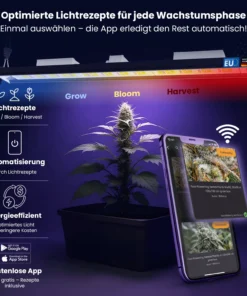 Treez Tools powered by Bilberry Smart Grow Light 650W