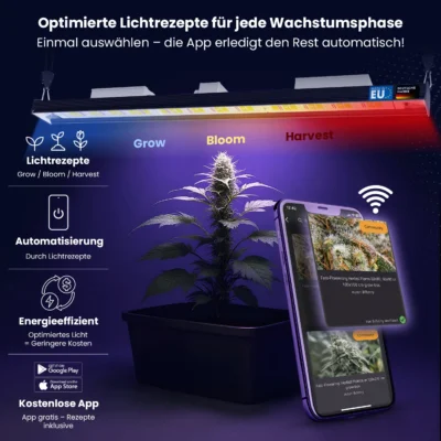 Treez Tools powered by Bilberry Smart Grow Light 650W
