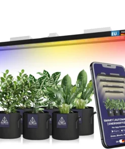 Treez Tools powered by Bilberry Smart Grow Light 650W