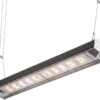 Treez Tools Smart Grow Light 340W