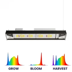 Treez Tools Bilberry 160W Setup
