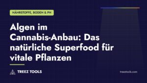 Titelbild: Algen im Cannabis-Anbau: Das natürliche Superfood für vitale Pflanzen