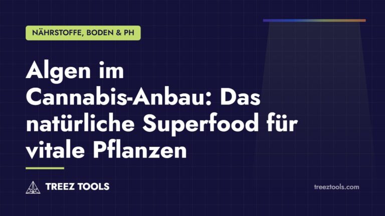 Titelbild: Algen im Cannabis-Anbau: Das natürliche Superfood für vitale Pflanzen