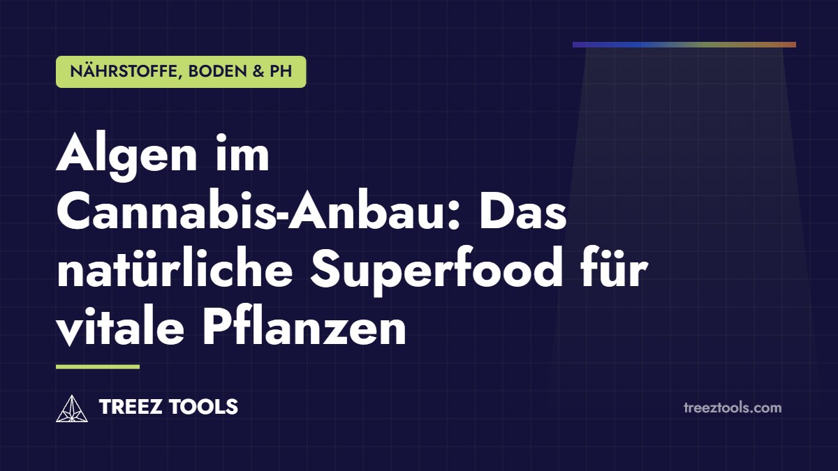 Titelbild: Algen im Cannabis-Anbau: Das natürliche Superfood für vitale Pflanzen