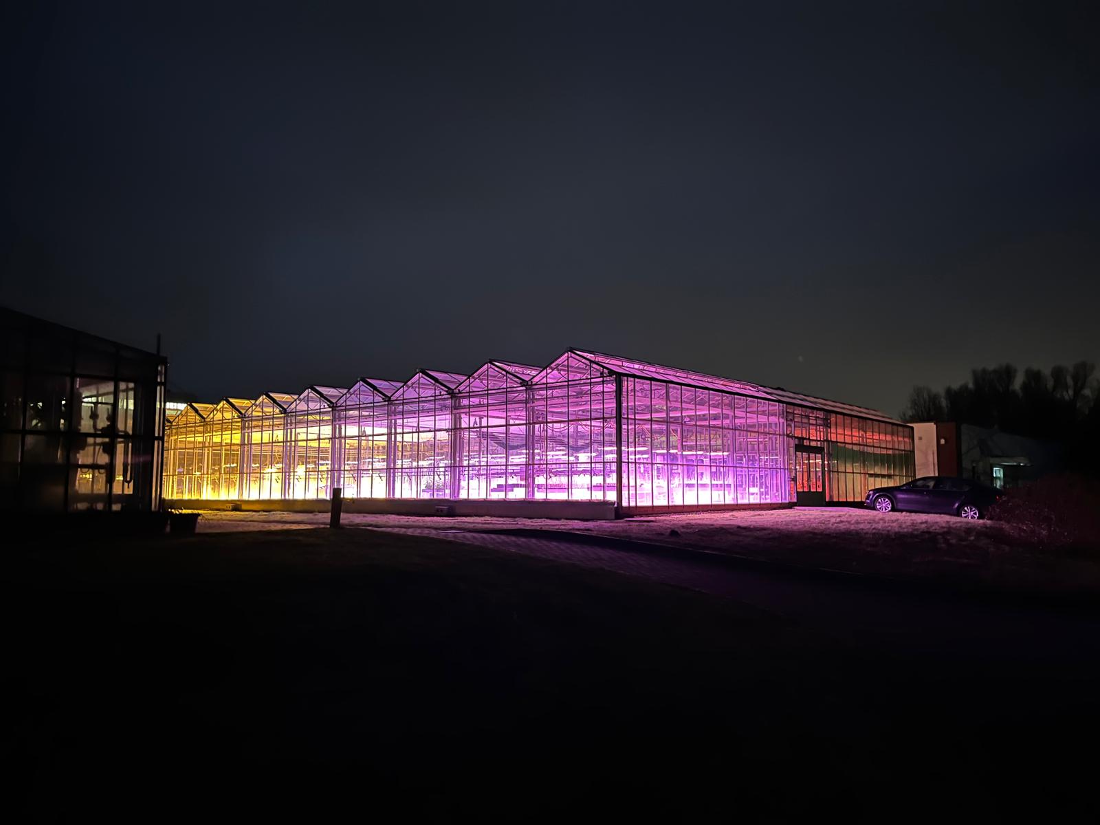 Gewächshaus bei Nacht, beleuchtet mit Bilberry-Leuchten