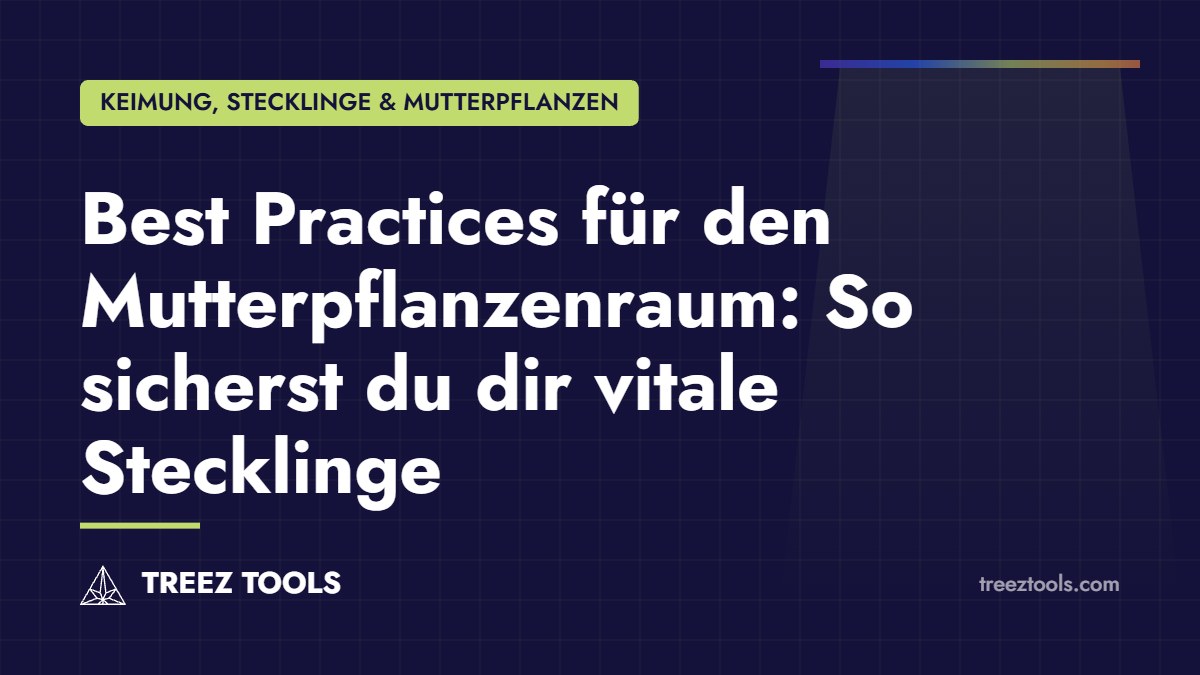 Titelbild: Best Practices für den Mutterpflanzenraum: So sicherst du dir vitale Stecklinge