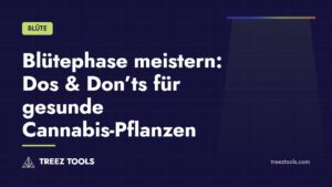 Titelbild: Blütephase meistern: Dos & Don’ts für gesunde Cannabis-Pflanzen