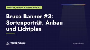 Titelbild: Bruce Banner #3: Sortenporträt, Anbau und Lichtplan