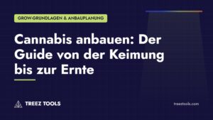 Titelbild: Cannabis anbauen: Der Guide von der Keimung bis zur Ernte