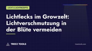 Titelbild: Lichtlecks im Growzelt: Lichtverschmutzung in der Blüte vermeiden