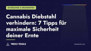 Titelbild: Cannabis Diebstahl verhindern: 7 Tipps für maximale Sicherheit deiner Ernte