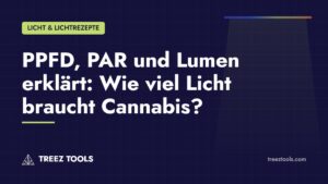 Titelbild: PPFD, PAR und Lumen erklärt: Wie viel Licht braucht Cannabis?