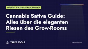 Titelbild: Cannabis Sativa Guide: Alles über die eleganten Riesen des Grow-Rooms