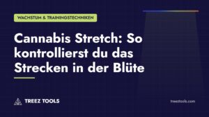 Titelbild: Cannabis Stretch: So kontrollierst du das Strecken in der Blüte