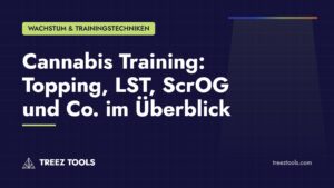 Titelbild: Cannabis Training: Topping, LST, ScrOG und Co. im Überblick