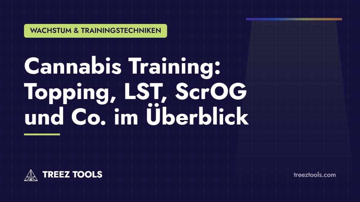 Titelbild: Cannabis Training: Topping, LST, ScrOG und Co. im Überblick