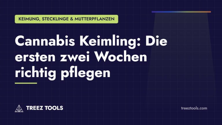 Titelbild: Cannabis Keimling: Die ersten zwei Wochen richtig pflegen