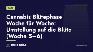 Titelbild: Cannabis Blütephase Woche für Woche: Umstellung auf die Blüte (Woche 5–6)