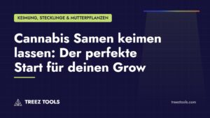 Titelbild: Cannabis Samen keimen lassen: Der perfekte Start für deinen Grow