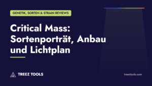 Titelbild: Critical Mass: Sortenporträt, Anbau und Lichtplan