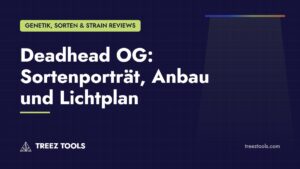 Titelbild: Deadhead OG: Sortenporträt, Anbau und Lichtplan