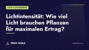 Titelbild: Lichtintensität: Wie viel Licht brauchen Pflanzen für maximalen Ertrag?