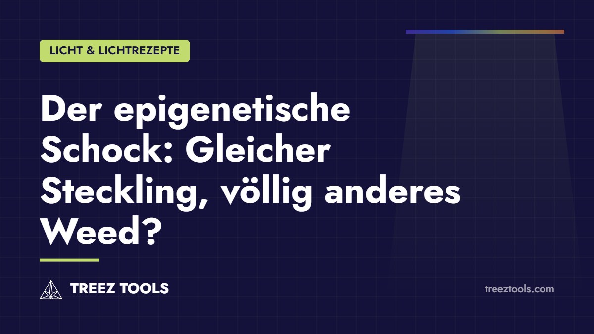 Titelbild: Der epigenetische Schock: Gleicher Steckling, völlig anderes Weed?