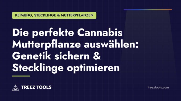 Titelbild: Die perfekte Cannabis Mutterpflanze auswählen: Genetik sichern & Stecklinge optimieren
