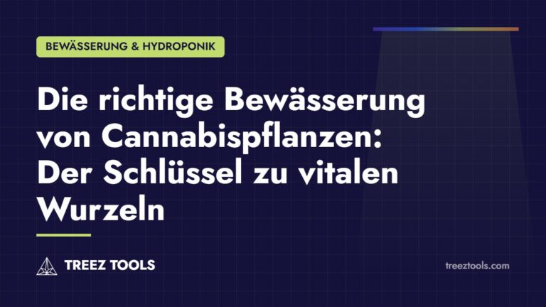 Titelbild: Die richtige Bewässerung von Cannabispflanzen: Der Schlüssel zu vitalen Wurzeln