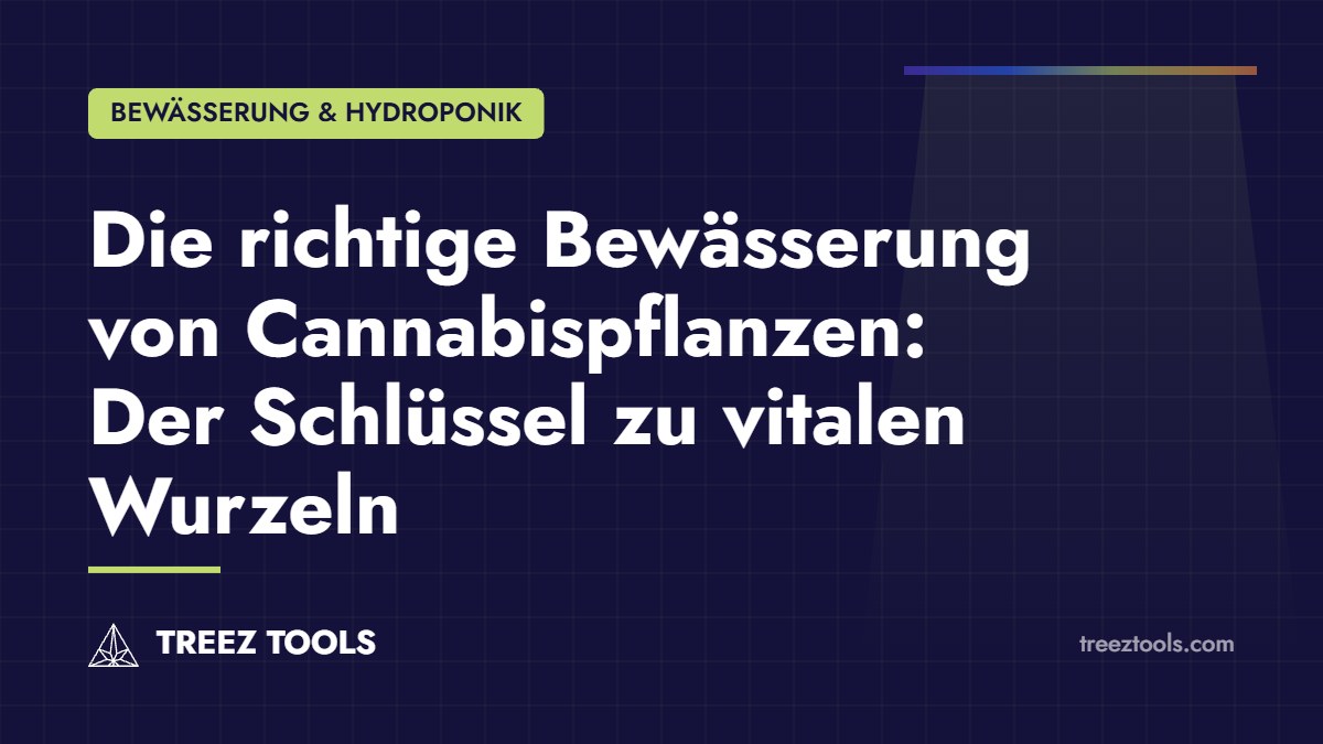 Titelbild: Die richtige Bewässerung von Cannabispflanzen: Der Schlüssel zu vitalen Wurzeln
