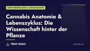 Titelbild: Cannabis Anatomie & Lebenszyklus: Die Wissenschaft hinter der Pflanze