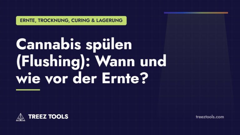 Titelbild: Cannabis spülen (Flushing): Wann und wie vor der Ernte?