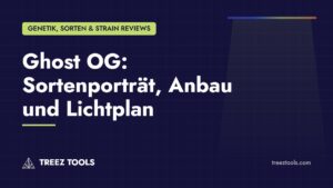 Titelbild: Ghost OG: Sortenporträt, Anbau und Lichtplan
