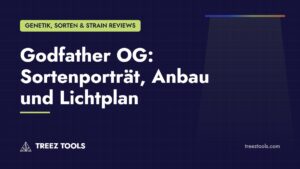 Titelbild: Godfather OG: Sortenporträt, Anbau und Lichtplan