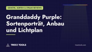 Titelbild: Granddaddy Purple: Sortenporträt, Anbau und Lichtplan