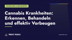 Titelbild: Cannabis Krankheiten: Erkennen, Behandeln und effektiv Vorbeugen