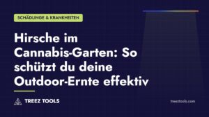 Titelbild: Hirsche im Cannabis-Garten: So schützt du deine Outdoor-Ernte effektiv