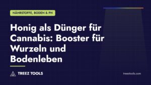 Titelbild: Honig als Dünger für Cannabis: Booster für Wurzeln und Bodenleben