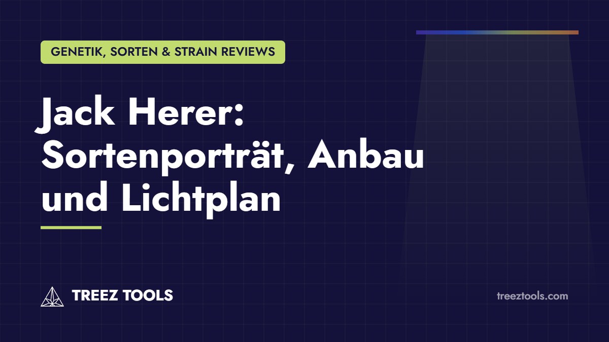 Titelbild: Jack Herer: Sortenporträt, Anbau und Lichtplan