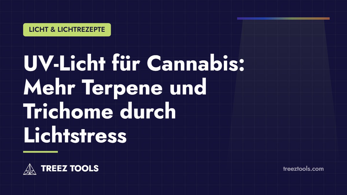 Titelbild: UV-Licht für Cannabis: Mehr Terpene und Trichome durch Lichtstress